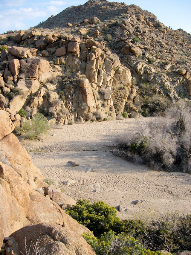wash, Joshua Tree Natl Park