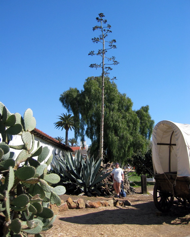 Old Town, San Diego