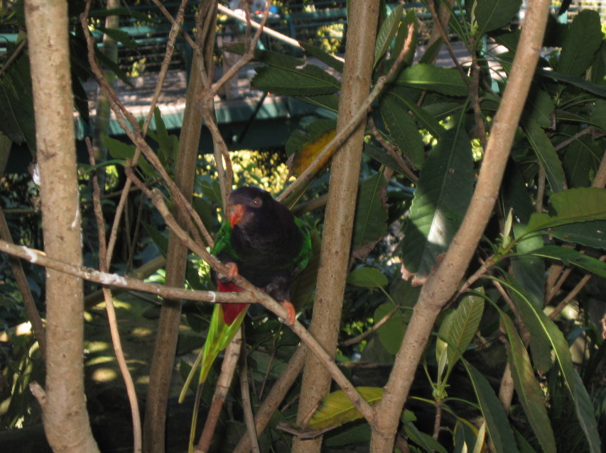 San Diego Zoo