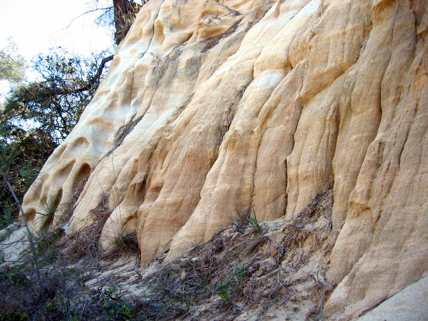weathered hillside, Torrey Pines Park