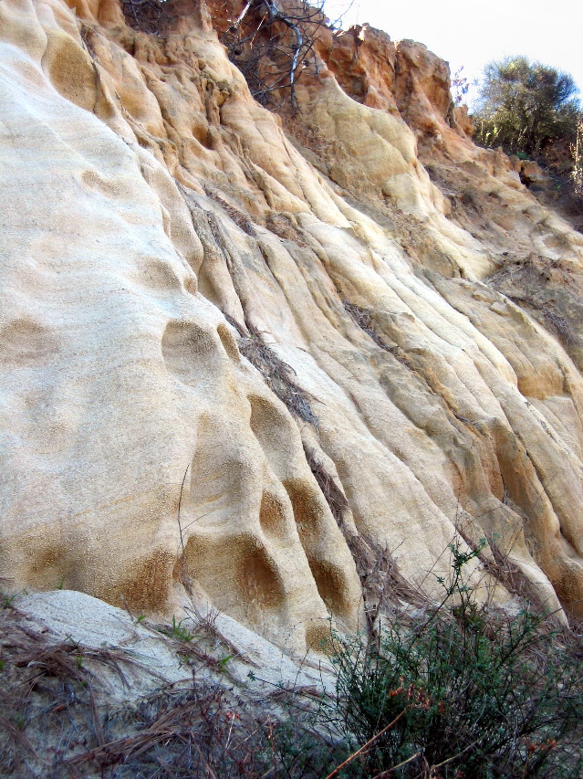 weathered hillside, Torrey Pines Park