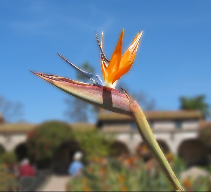 Mission at San Juan Capistrano