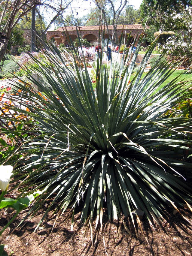 Capistrano Mission