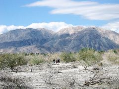 Living Desert Zoo and Plant Ctr, Palm Desert