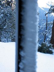 snow-sicles?