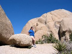 Joshua Tree Natl Park