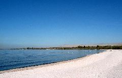 Salton Sea
