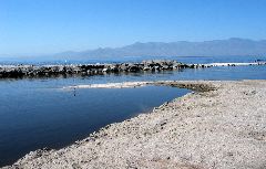 Salton Sea