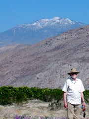 Arthur, Anza-Borrego Desert
