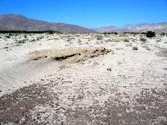 wash, Anza-Borrego Desert