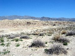 Anza-Borrego Desert