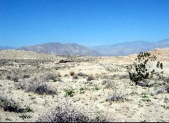 Anza-Borrego Desert