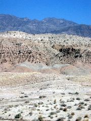 Anza-Borrego Desert