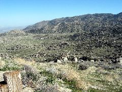 Culp Valley, Anza-Borrego Desert