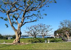 wharf area, San Diego
