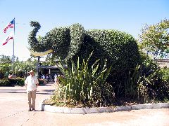 Arthur at the zoo