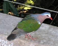 San Diego Zoo