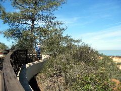 Torrey Pines Park
