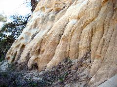 weathered hillside, Torrey Pines Park