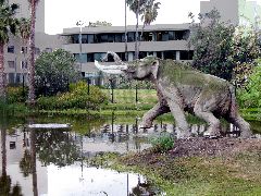 La Brea Tar Pits